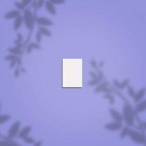 STALEKS Mini Buffer EXPERT 51 100/180 grit (50 τεμ)